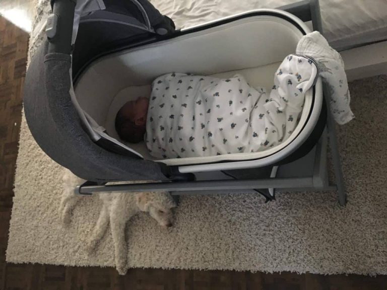 Can Baby Sleep in Uppababy Bassinet: A Comprehensive Guide